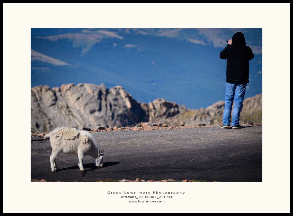 Mt Evans 20160807 211